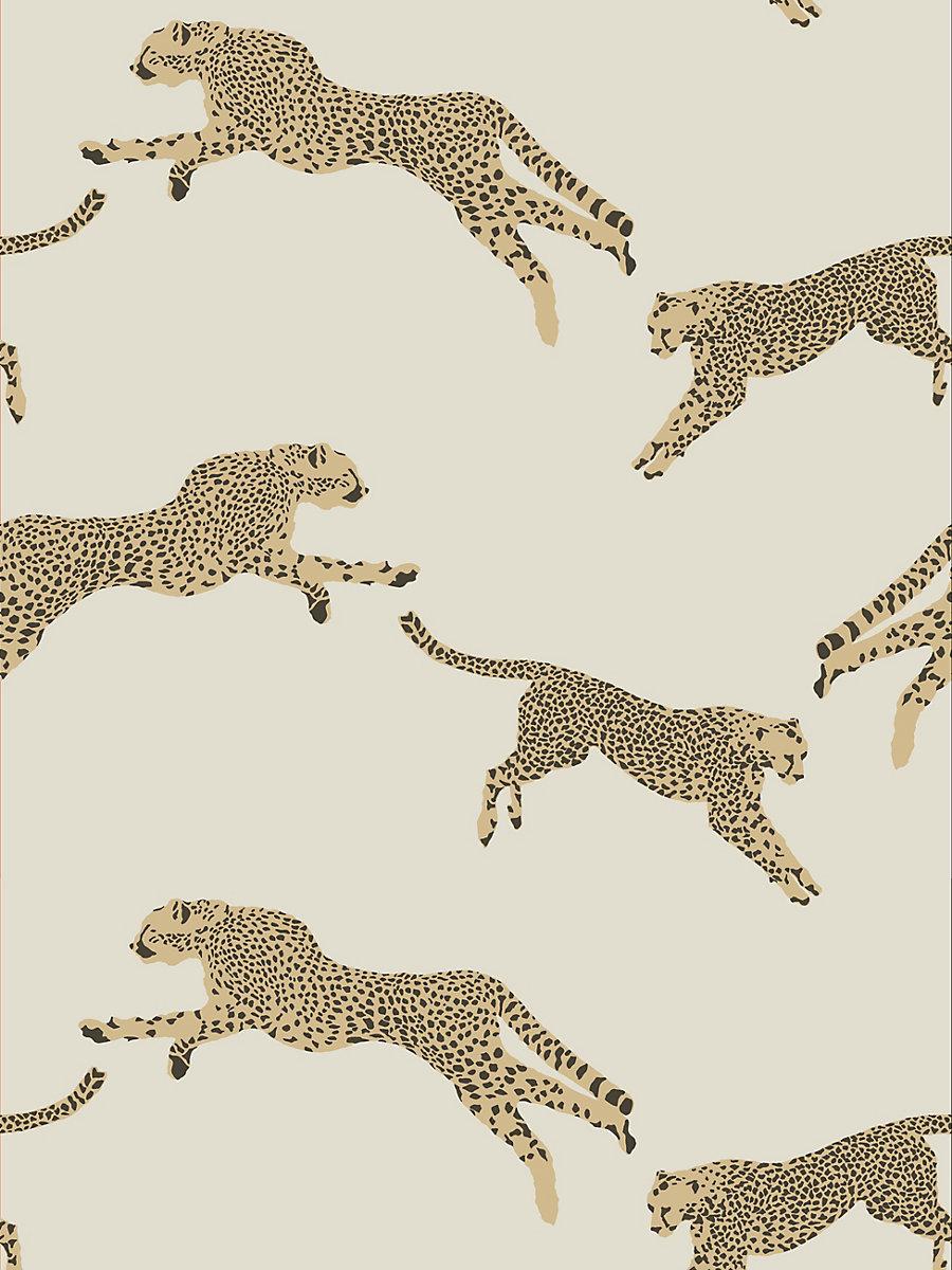 Scalamandre Leaping Cheetah Dune Wallpaper